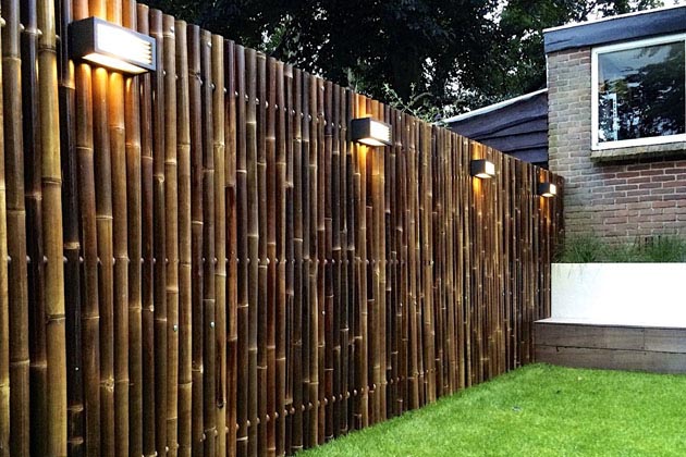 Bamboo fence