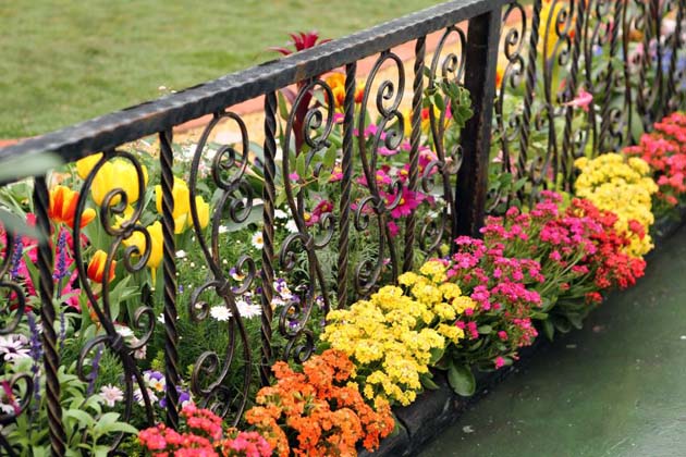 Cast iron fence garden