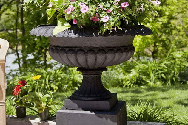 Cast iron urn planter in the garden