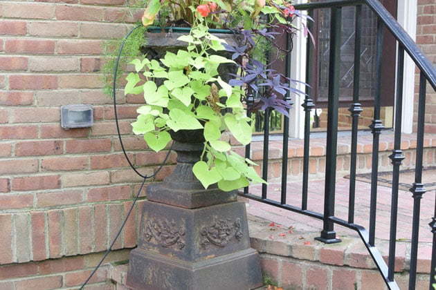 Urn planter