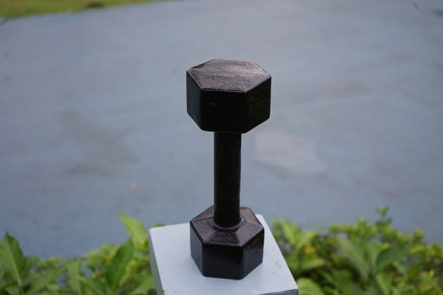 Cast iron dumbbells from VIC