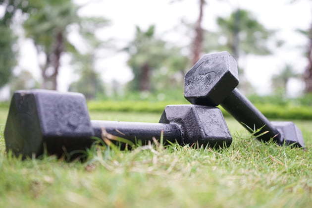 Cast iron dumbbells