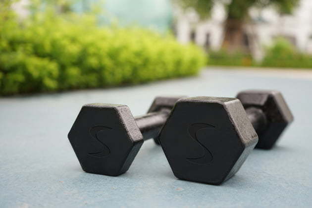 hex fixed weight dumbbells