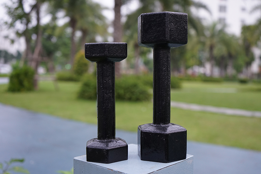 Top 4 cast iron dumbbell brands to us