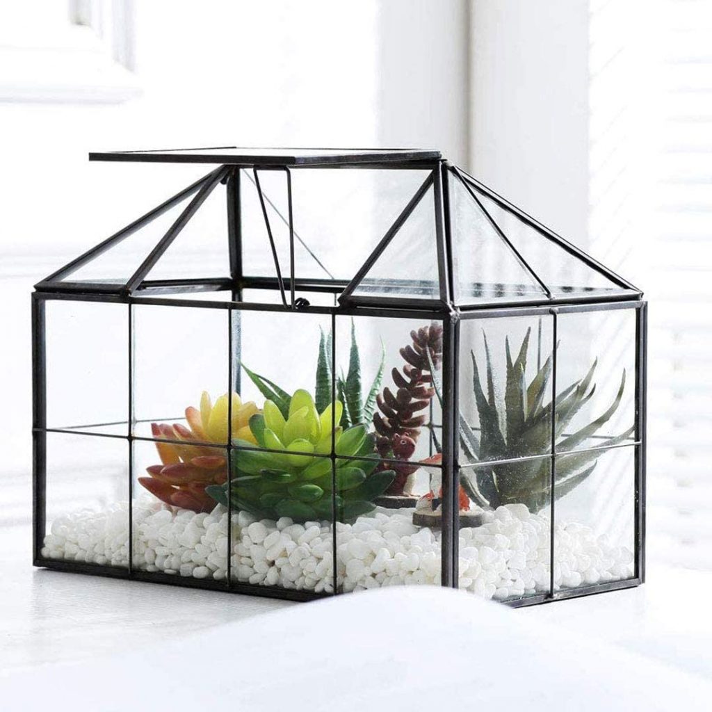 Greenhouse Terrarium