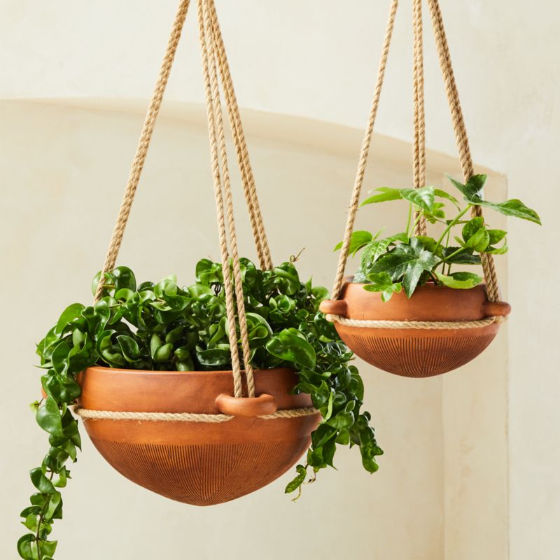 Hanging planter