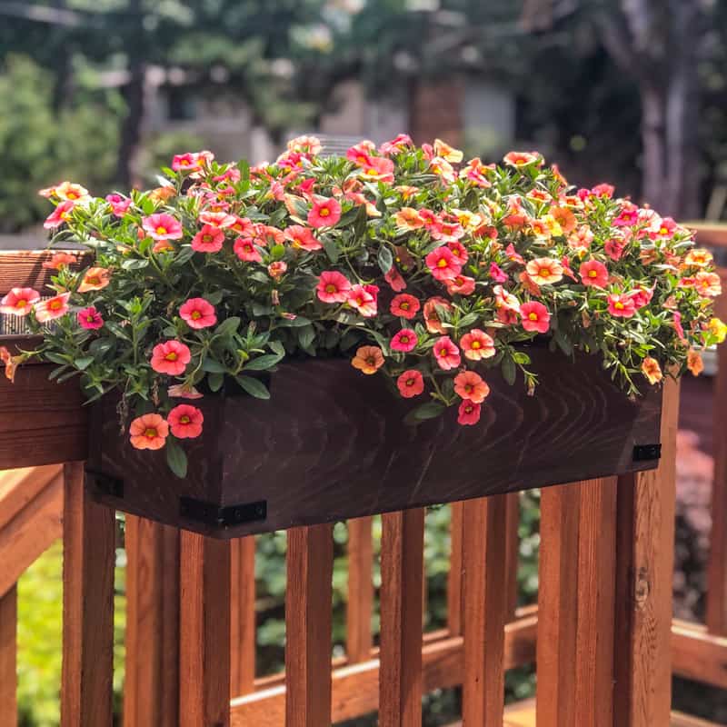 Railing planter box